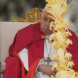 El papa Francisco celebra la misa del Domingo de Ramos en la plaza de San Pedro del Vaticano, el domingo 24 de marzo de 2024.