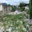 Cañada Guajimía en Herrera