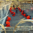 Vista de la prisión de Guantánamo en la Base Naval de Estados Unidos en Guantánamo.