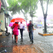 Desde este jueves, las lluvias vienen afectando a gran parte del territorio nacional.