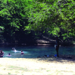 Niños y adolescentes disfrutan de las aguas cristalinas de un manantial en El Cachón de la Rubia.