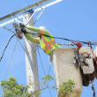 De momento, el sistema eléctrico atraviesa por una crisis, fruto de las constantes fallas técnicas y comerciales de las tres EDE.