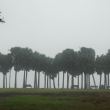 Palmeras en la niebla cayendo sobre Vinoy Park en San Petersburgo, Florida, mientras se espera que el huracán Milton toque tierra a última hora del 9 de octubre de 2024 en Florida. Los residentes de Florida huyeron o simplemente se refugiaron en las últimas horas del miércoles antes de que el enorme huracán Milton azotara el estado, mientras los esfuerzos de ayuda de emergencia del gobierno se arrastraban al centro de las elecciones estadounidenses.