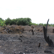 Siguen provocando daños ambientales a la reserva ecológica de Las Dunas de Baní.