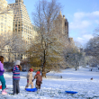 Personas disfrutan de la nieve en Central Park, Nueva York.