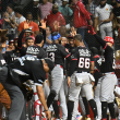 Jugadores del Escogido celebran luego de anotar dos carreras en el octavo inning.