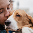 Es importante crear un ambiente en el que las mascotas se sientan cómodas o en confianza.