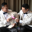 Los ciudadanos chinos Song Jihan (der.) y Wang Zengyi (izq.) se sientan con su perro bichón frisé en su habitación de hotel antes de su ceremonia de boda cerca de Pattaya, en la provincia de Chonburi, el 31 de mayo de 2025.