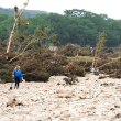 Personas buscan sobrevivientes cerca del río Guadalupe
