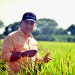 El nuevo ministro de Agricultura, Oliverio Espaillat Bencosme, es un destacado productor de arroz
