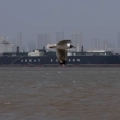 El carguero de bandera india Jag Vasant, que transporte gas licuado de petróleo, visto en el puerto de Mumbai, en Mumbai, India, tras haber cruzado el estrecho de Ormuz el 1 de abril de 2026