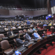 Cámara de diputados.