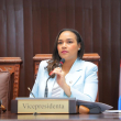 Vicepresidenta de la Cámara de Diputados, Dhaurelly D'Aza.
