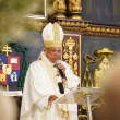Monseñor Francisco Ozoria