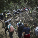 Migrantes cruzan el Tapón del Darién