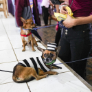 Personas y sus perros asisten a una misa en honor a San Lázaro, considerado el santo de los perros, en la iglesia de la Magdalena en la comunidad indígena de Monimbó en Masaya, Nicaragua, el 17 de marzo de 2024.