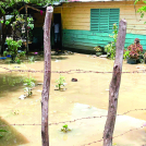 Las lluvias en pueblos de la provincia Monte Cristi han inundado al menos 80 viviendas dañando enseres y provocando la suspensión de clases en escuelas.