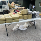 Agentes ocupan 264 libras de marihuana en pedernales