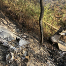 Esta fotografía publicada por Protección Civil del estado de Jalisco muestra a un hombre mirando el lugar donde se estrelló un avión Cessna 207 en Santa María del Oro, estado de Jalisco, México, el 22 de diciembre de 2024.