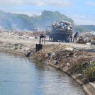 Este vertebro sigue ocupando un área de 400 metros cuadrados, en Nizao.