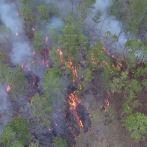 Incendios forestales, una constante en ascenso en los últimos seis años en República Dominicana
