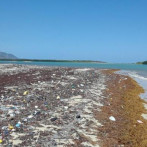 Presencia de sargazo continúa amenazando operaciones de plantas eléctricas
