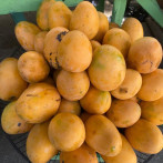 Agricultura dice que solo 10 % exportaciones de mangos fue afectada