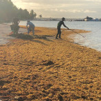 Actividades turísticas y comerciales de Boca Chica se han reducido un 85% por sargazo