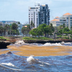 Sargazo trastorna normalidad de las actividades en el Malecón de Santo Domingo