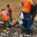 Sargazo y polvo del Sahara dificultan búsqueda de desaparecidos en naufragio de Juanillo