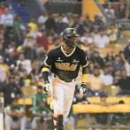 ¿Cuáles son los jugadores de más nivel en la Lidom?