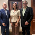 Aspirante del PLD intima a JCE que detenga proceso de consulta interna