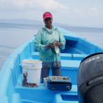 Mujer y pesca en República Dominicana: la presencia femenina en el proyecto FISH4ACP