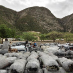 Una película sobre ataque a ecosistema RD