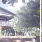 En contacto con la naturaleza