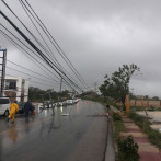 Derriba árboles y tendidos eléctricos