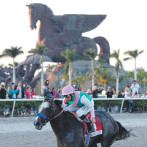 Expertos opinan del “pegasus”; RD baila hoy “danza de los millones”