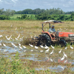 Sidiagro: la plataforma que digitaliza el sistema agropecuario