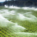 “Necesitamos una autoridad nacional del agua, una especie de Amet del agua”