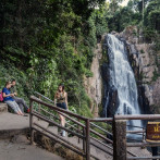 Los elefantes, amenazados desde hace tiempo por las multitudes tailandesas, recuperan un parque nacional