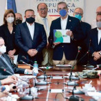 La vorágine de los dos meses de Abinader