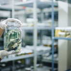 Un recorrido por los depósitos de las colecciones del Museo de Historia Natural