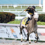 Joel Rosario gana la Copa “Pegasus” con Knicks Go