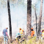 Los incendios forestales siguen siendo un mal en RD