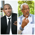 Instituto Medioambientalista: “Licencia ambiental del aeropuerto de Bávaro es una aberración”