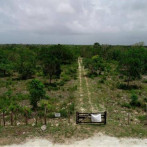 Tribunal vuelve a rechazar construcción del aeropuerto de Bávaro