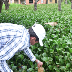 En La Guáyiga esperan Obras Públicas resuelva