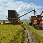 Gobierno anuncia extensión del subsidio a fertilizantes