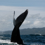 ‘Danza que trae vida’