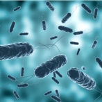 Van más de 300 mil casos de cólera en 2025 y la OMS califica la situación de 